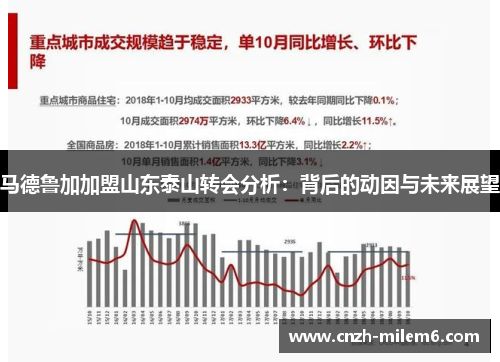 马德鲁加加盟山东泰山转会分析:背后的动因与未来展望 马德鲁加加盟山东泰山转会分析:背后的动因与未来展望